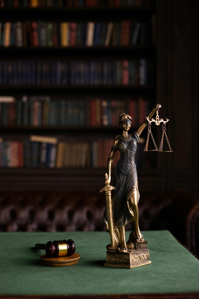 Virtual Assistant for Law firm