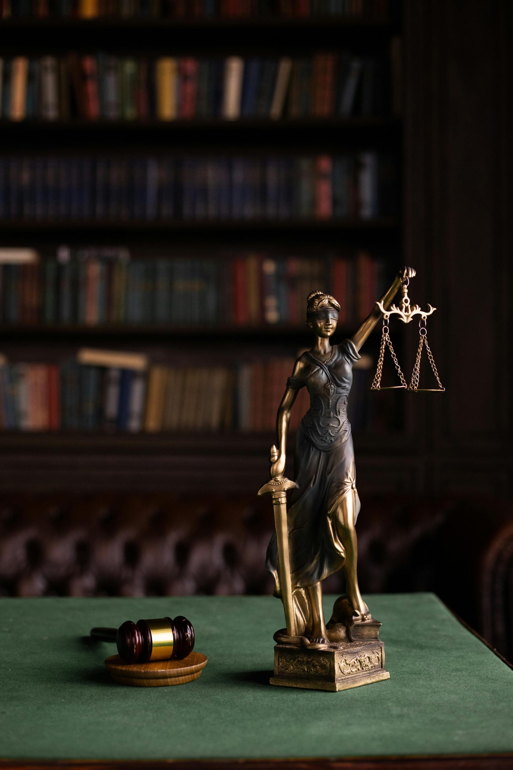 Virtual Assistant for Law firm